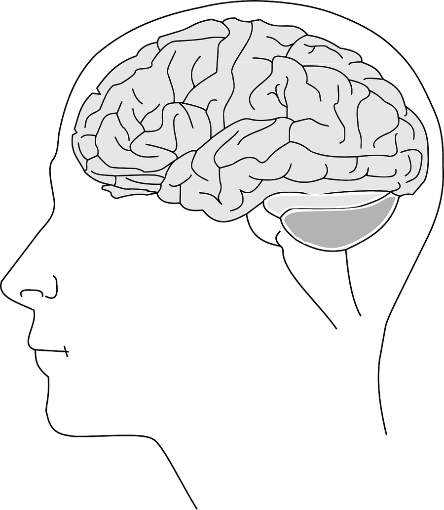 Una mente divagante es una mente infeliz